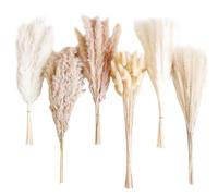 Lot de 110 fleurs de roseau séchées - Fleurs de blé séchées - Fleurs séchées - Fleurs séchées naturelles pour gâteau, mariage, fête d'anniversaire, couronne - Décoration d'intérieur