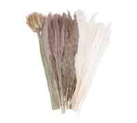 Lot de 110 Herbes de Pampa séchées, Bouquet de Fleurs séchées de phragmites rustiques et Herbe de Pampa Douce cueillies à la Main pour Mariage, Maison, décoration, Comprend 110