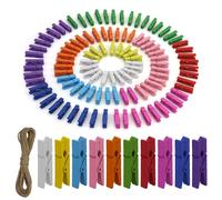 Lot de 110 mini pinces à linge en bois multicolores - Petites pinces pour accrocher des photos - Corde photo avec pinces - Petites pinces à linge en bois pour photos, collages, cartes postales, photos