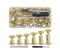 Lot de 110 vis de reliure Chicago assorties, 6 tailles, couleur pistolet, rivets en cuir, rivets de reliure 4/5/6/8/10/12 mm avec tournevis perforateur - Or clair