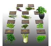 Lot de 1100 graines Aromatiques à semer - Le Grenier d'Abondance - HERBES DE PROVENCE - 11 sachets individuels