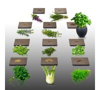 Lot De 1100 Graines Aromatiques À Semer - Le Grenier D'abondance - Herbes De Provence - 11 Sachets Individuels