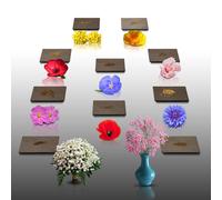 Lot De 1100 Graines De Fleurs À Semer - Le Grenier D'abondance - Hauteur 50 Cm - 10 Sachets Individuels.