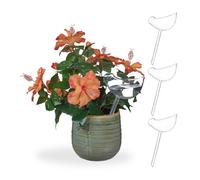 Lot de 12 arrosoirs automatiques Arrosage plantes Globe Bulbe fleurs transparent