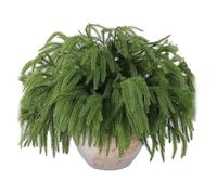 Lot de 12 branches de pin au toucher réaliste - Décoration de Noël pour la maison, Noël