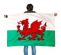 Lot de 12 capes de drapeau du Pays de Galles - Déguisement gallois - Football, Rugby - Événements sportifs, fêtes de rue St David, festivals et célébrations