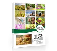 Lot de 12 cartes de vœux pliantes avec enveloppes Motif faune britannique