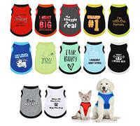 Lot de 12 chemises pour chien avec lettre amusante - Vêtements d'été doux pour chiot et chat - Vêtements respirants et amusants pour chiens, chats, animaux domestiques, chiots, 12 styles (taille XL)