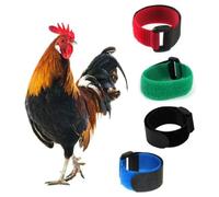 Lot de 12 colliers de cou réglables anti-pincement | Réduit le chant tôt le matin par les volailles de basse-cour ; sangle en nylon souple, adaptée au cou ; lot de 12 pouvant