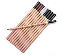 Lot de 12 Crayons de Fusain Couleurs Professionnels - Matériel de Dessin pour Débutants, Artistes et Enfants