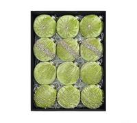 Lot de 12 décorations de sapin de Noël avec velours floqué et clips métalliques sécurisés pour décoration festive intemporelle (vert)