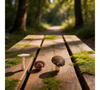 Lot de 12 décorations pour mini champignons pour scènes de jardin enchantées, terrarium et arrière-plans de diorama avec variantes d'agar mouche Shiitake