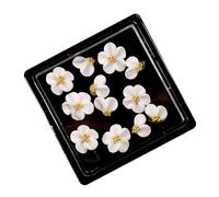 Lot de 12 décorations pratiques en résine pour ongles en forme de rose camélia - Convient pour les femmes à la mode et les amoureux des fleurs d'art