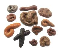 Lot de 12 fausses excréments réalistes et doux pour Halloween