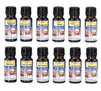 Lot de 12 huiles parfumées de Noël - 10 ml chacune - Pour lampes aromatiques - Parfum d'ambiance - Pour l'hiver et Noël