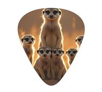 Lot de 12 médiators en forme de portrait de famille suricate avec boîte de rangement, 3 épaisseurs 0,46/0,71/0,96 mm, médiators en ABS pour guitare, ukulélé, basse