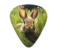 Lot de 12 médiators imprimés Lapin in the bush - Médiators fins, moyens et épais - Convient pour guitare, basse, guitare électrique et ukulélé