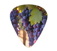 Lot de 12 médiators imprimés raisins du désert - 12 médiators fins, moyens et épais, adaptés pour guitare, basse, guitare électrique et ukulélé