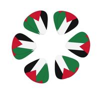 Lot de 12 médiators pour guitare électrique et acoustique Motif drapeau de la Palestine 3 épaisseurs différentes