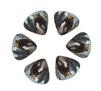 Lot de 12 médiators Ruins Tiger Warrior pour guitare électrique, acoustique, ukulélé, comprend des médiators fins, moyens et lourds avec boîte de rangement
