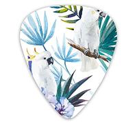 Lot de 12 médiators universels en ABS, aquarelle, perroquet blanc, oiseaux sur branches de palmier, feuilles, œuvres d'art naturelles exotiques pour guitare acoustique et électrique