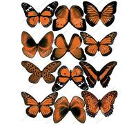 Lot de 12 Papillons Oranges Comestibles PRÉ-DÉCOUPÉS par Cakeshop