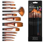 Lot de 12 pinceaux professionnels pour artiste peintre - enfants ou adultes Fabuleux vos toiles, aquarelles tissus débutants et Parfaits la peinture à l'eau, l'huile acrylique