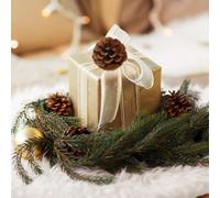 Lot de 12 pommes de pin naturelles, décorations de Noël compatibles avec les loisirs créatifs, sapin de Noël, décoration d'automne et de Than