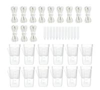 Lot de 12 pots à arrosage automatique avec système d'irrigation Transparent | Pots de fleurs d'intérieur avec trous de drainage pour jardin violet africain propagation plantation maison cuisine