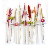 Lot de 12 Pots à réaction pour Fleurs, Tubes en Verre avec Bord pour Suspension, décoration de fenêtre et de Mariage (15 cm)