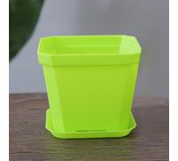 Lot de 12 pots de fleurs carrés en plastique avec trous de drainage percés avec précision et plateaux assortis, sept couleurs au choix - Pots carrés en résine de 10 cm pour plantes grasses, cactus