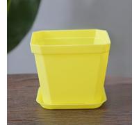 Lot de 12 pots de fleurs carrés en plastique avec trous de drainage percés avec précision et plateaux assortis, sept couleurs au choix - Pots carrés en résine de 10 cm pour plantes grasses, cactus