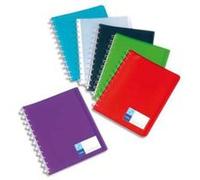 Lot de 12 Protège-documents MAXI GEODE 60 vues en polypro translucide 7/10ème, coloris assortis G