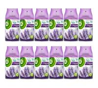 Lot de 12 recharges pour vaporisateur Airwick Freshmatic & AirPure, 250 ml, Purple Lavender Meadow (AirWick)