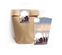 Lot de 12 sacs cadeaux (naturels) + 12 autocollants - Deux chevaux - Sacs cadeaux pour petits cadeaux - Pour anniversaire d'enfant, anniversaire de fille