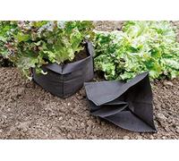 Lot de 12 Sacs de Protection pour Salade Bag Biocontrol