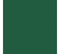 Lot de 12 serviettes - DUNI - Jetable - Dunisoft bio - 4 plis - 40x40cm - Vert foncé