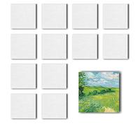 Lot de 12 toiles à peindre - Toile magnétique en coton pour acrylique, huile et gouache, avec pâte texturée (carré 12)