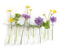 Lot de 12 tubes à essai pour fleurs à suspendre, vase avec bord à suspendre, décoration de fenêtre, vase en verre, décoration de mariage, fleurs (10 cm)