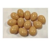 Lot de 12 œufs bruns - Berrous G