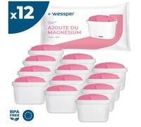 Lot de 12 Wessper AQUAMAX Magnésium Mineralizer Cartouche Filtrante pour Carafe Compatible avec BRITA Maxtra Aquaphor MAXFOR Dafi