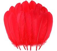 Lot de 120 grandes plumes d'oie rouge pour loisirs créatifs, ailes d'ange, attrape-rêves et décoration de fête de mariage - 15,2 à 20,3 cm