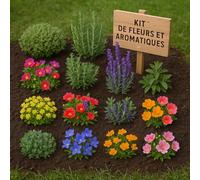 Lot de 1200 graines à semer - Le Grenier d'Abondance - Fleurs et Aromatiques pour Bordures et Rocailles - 13 sachets individuels.