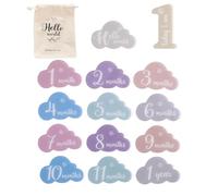 Lot de 14 cartes de repère en acrylique pour bébé, accessoires de photographie pour nouveau-nés, croissance mensuelle, jolie forme de papillon