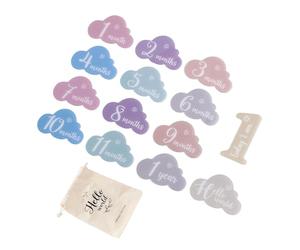 Lot de 14 cartes de repère en acrylique pour bébé - Jolies formes - Jouet commémoratif pour la croissance des nouveau-nés