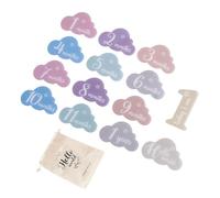 Lot de 14 cartes de repère en acrylique pour nouveau-né en forme de nuage pour capturer la croissance mensuelle de bébé