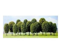 Lot de 15 arbres feuillus G