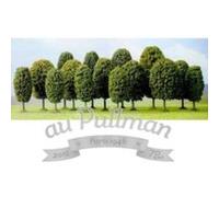Lot de 15 arbres feuillus ho G