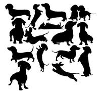 Lot de 15 autocollants mignons en forme de silhouette de teckel pour animal de compagnie - Autocollants imperméables - Cadeau de chien saucisse - Utilisation sur pare-chocs de voiture, interrupteur,