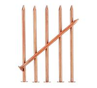 Lot de 15 clous d'élimination des souches de cuivre tueurs de 5,1 cm à action rapide, sans perturbation, productif - Enlèvement pour racines d'arbres de jardin pour pureté